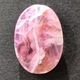 ���Х�ȥ��륵���ȡ����ܥ����롼����12ct��1��ʪ