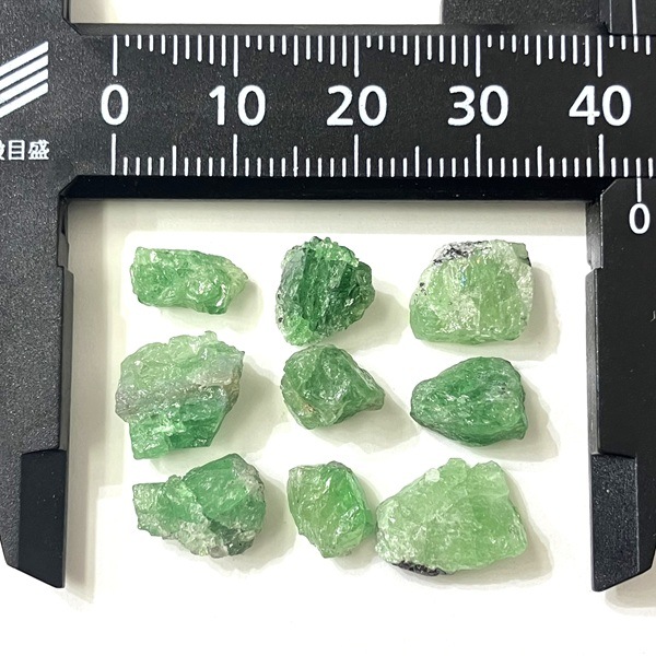 �����ò����ۥĥ��ܥ饤�ȥ����ͥåȡ��ߥ˸��С�1γ���