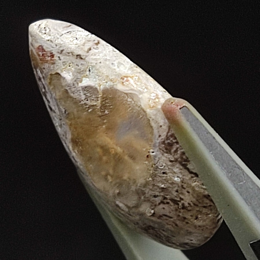 ����ƥ饪�ѡ��롡���ܥ����롼����6.92ct��1��ʪ