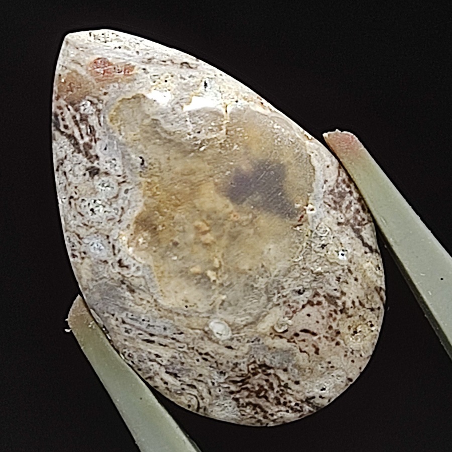 ����ƥ饪�ѡ��롡���ܥ����롼����6.92ct��1��ʪ