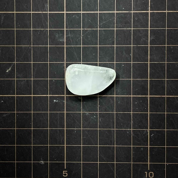 ���꡼�󥢥ݥե��饤���᤭������֥롡��3.0cm��1��ʪ