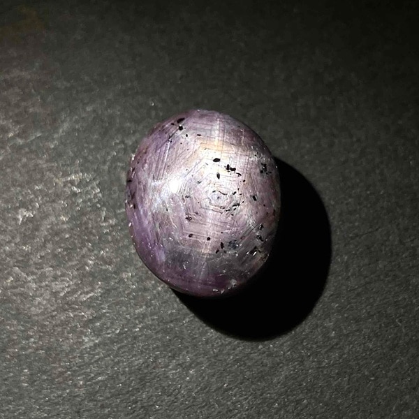 ��������(���������ե�����)�����ܥ����롼���������Х롡4.9�硡1��ʪ