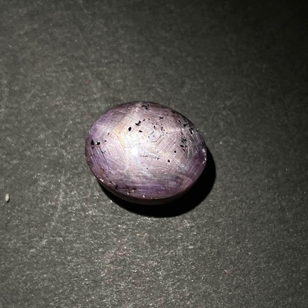 ��������(���������ե�����)�����ܥ����롼���������Х롡4.9�硡1��ʪ