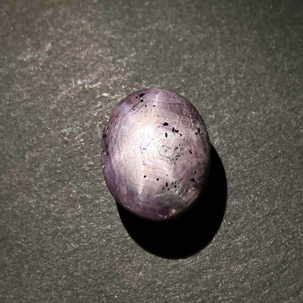 ��������(���������ե�����)�����ܥ����롼���������Х롡4.9�硡1��ʪ