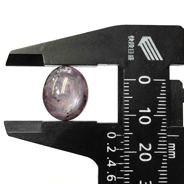 ��������(���������ե�����)�����ܥ����롼���������Х롡4.9�硡1��ʪ