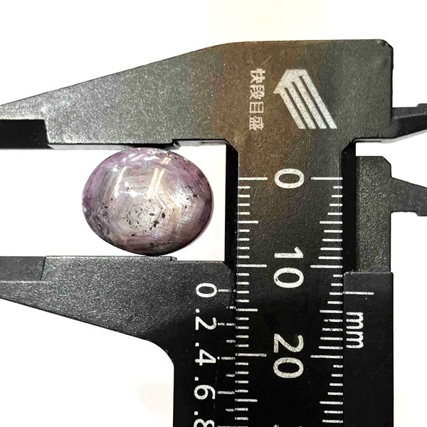 ��������(���������ե�����)�����ܥ����롼���������Х롡4.9�硡1��ʪ