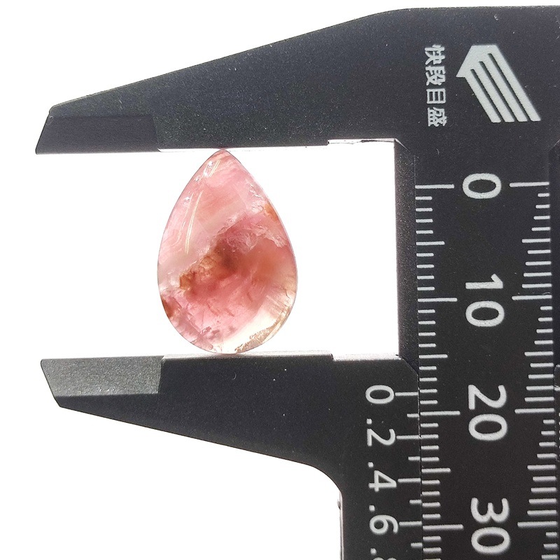 ���Х�ȥ��륵���ȡ����ܥ����롼����8ct��1��ʪ