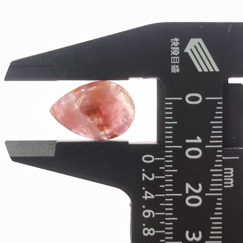 ���Х�ȥ��륵���ȡ����ܥ����롼����8ct��1��ʪ