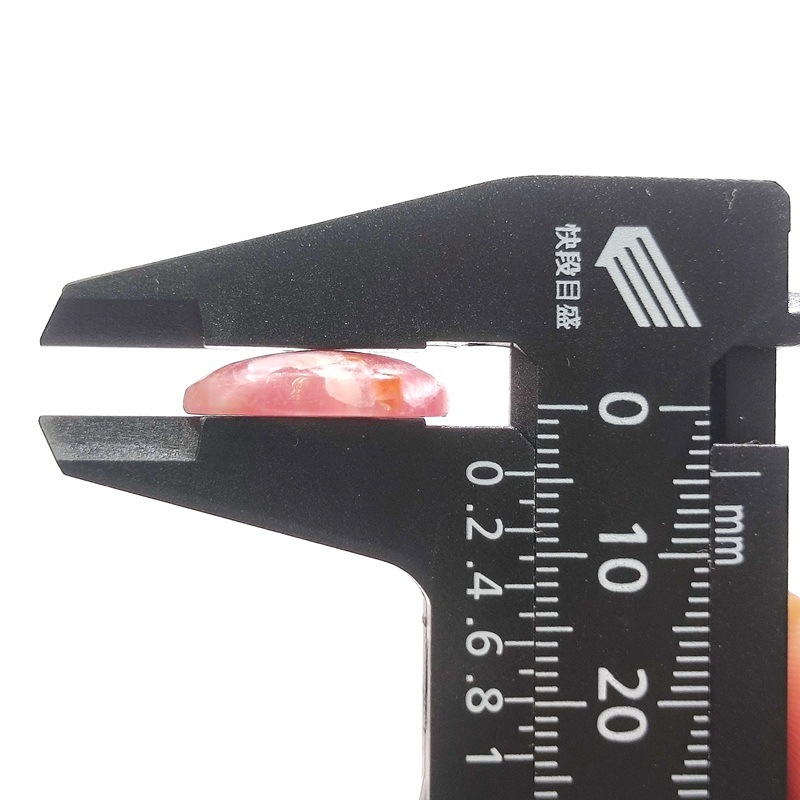 ���Х�ȥ��륵���ȡ����ܥ����롼����8ct��1��ʪ