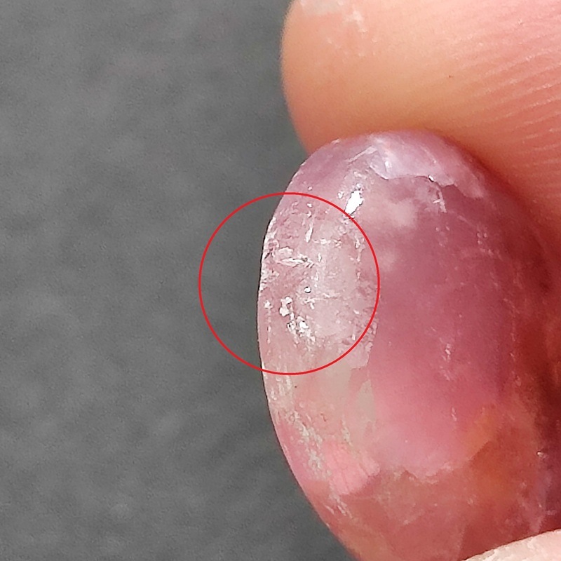���Х�ȥ��륵���ȡ����ܥ����롼����8ct��1��ʪ