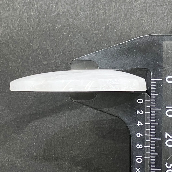 ���������ʥȥ��饤�ȡ����ܥ����롼�����ɥ��åס�11.7�硡1��ʪ