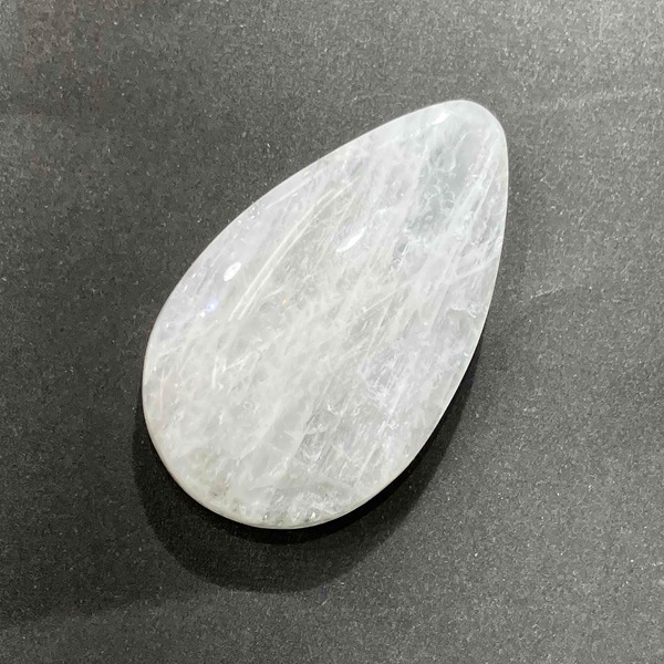 ���������ʥȥ��饤�ȡ����ܥ����롼�����ɥ��åס�11.7�硡1��ʪ