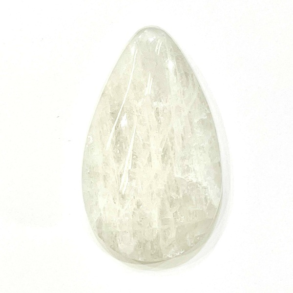 ���������ʥȥ��饤�ȡ����ܥ����롼�����ɥ��åס�11.7�硡1��ʪ