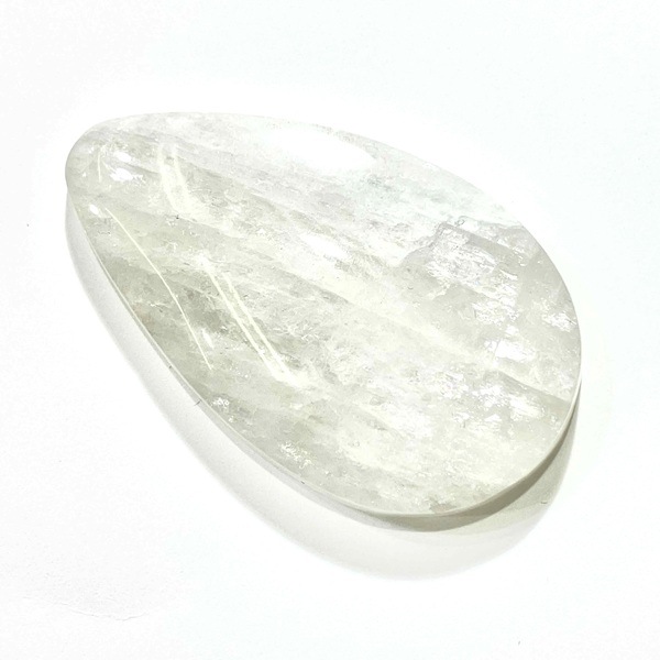 ���������ʥȥ��饤�ȡ����ܥ����롼�����ɥ��åס�11.7�硡1��ʪ