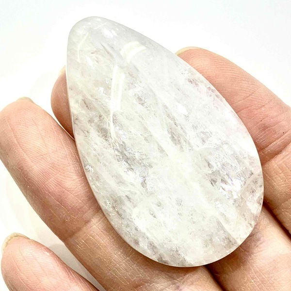 ���������ʥȥ��饤�ȡ����ܥ����롼�����ɥ��åס�11.7�硡1��ʪ