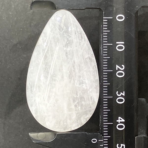 ���������ʥȥ��饤�ȡ����ܥ����롼�����ɥ��åס�11.7�硡1��ʪ