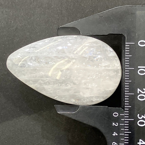 ���������ʥȥ��饤�ȡ����ܥ����롼�����ɥ��åס�11.7�硡1��ʪ