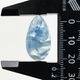 �֥饸�뻺�ѥ饤�Х�����ʥ��ȡ����ܥ���󡡥ɥ��å׷���19.4ct