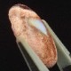 ƥ饪ѡ롡ܥ롼3.94ct1ʪ