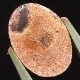 ƥ饪ѡ롡ܥ롼3.94ct1ʪ