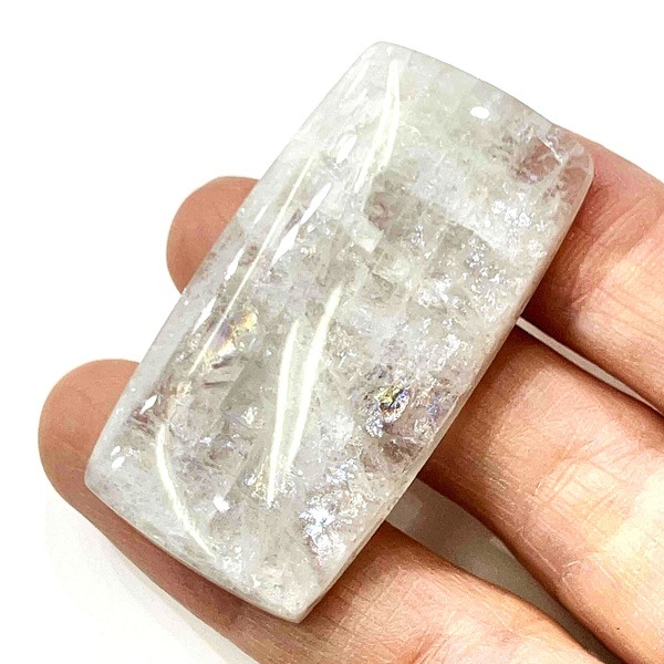 ���������ʥȥ��饤�ȡ����ܥ����롼�����쥯���󥰥�(�ͳ�)��9.0�硡1��ʪ