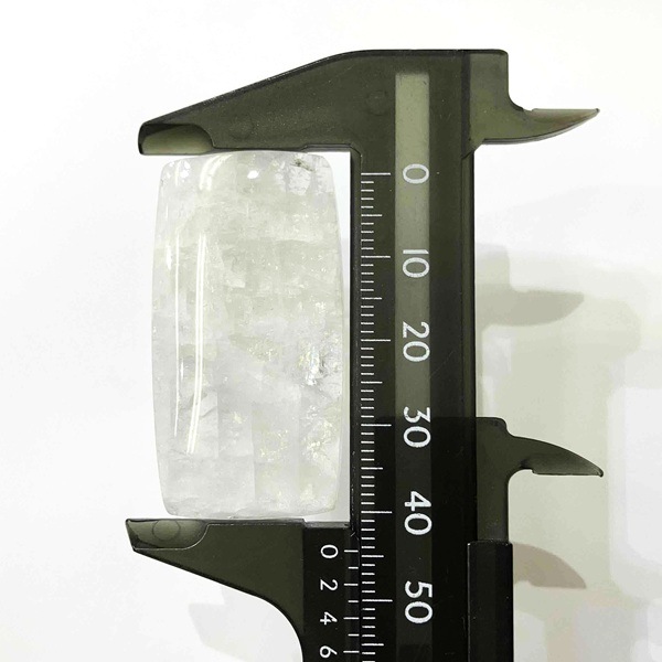 ���������ʥȥ��饤�ȡ����ܥ����롼�����쥯���󥰥�(�ͳ�)��9.0�硡1��ʪ