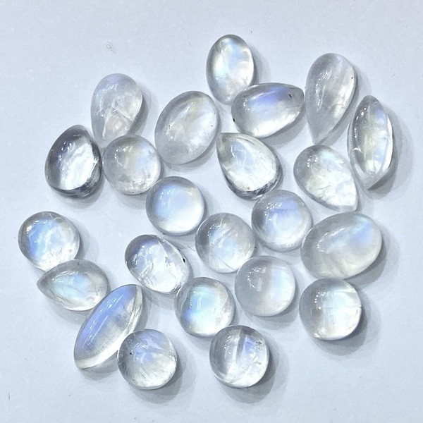 �����ò����ۥ���ǥ����֥�ɥ饤�ȡ����ܥ����롼���ߥå��� ��1γ���