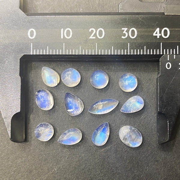 �����ò����ۥ���ǥ����֥�ɥ饤�ȡ����ܥ����롼���ߥå��� ��1γ���