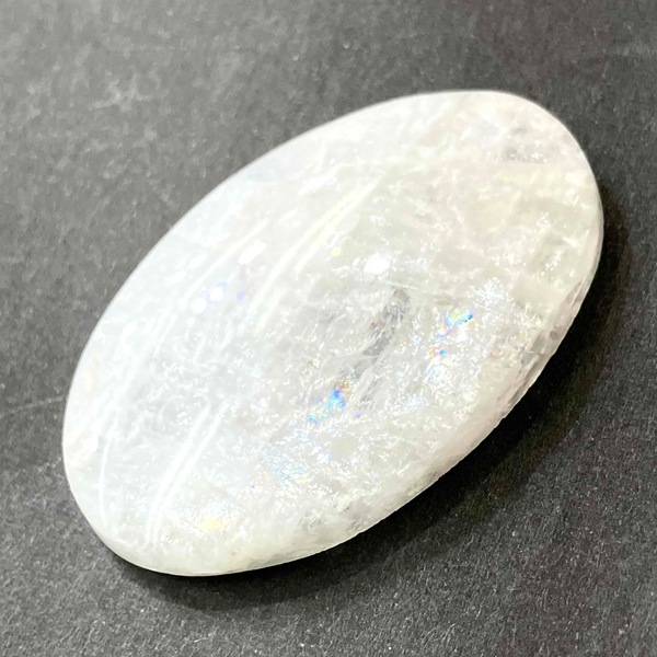 ���������ʥȥ��饤�ȡ����ܥ����롼���������Х롡15.8�硡1��ʪ