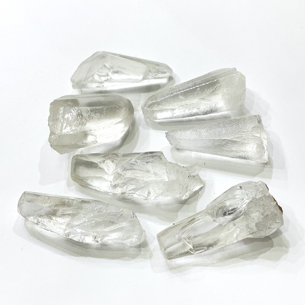 �ں����١��� �ᥭ�����������륵���ȸ��С�1�����