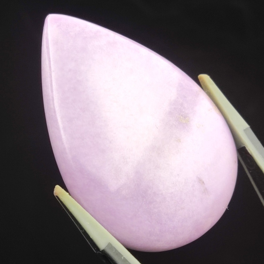 եեǥ饤ȥ롼33.5ct1ʪ