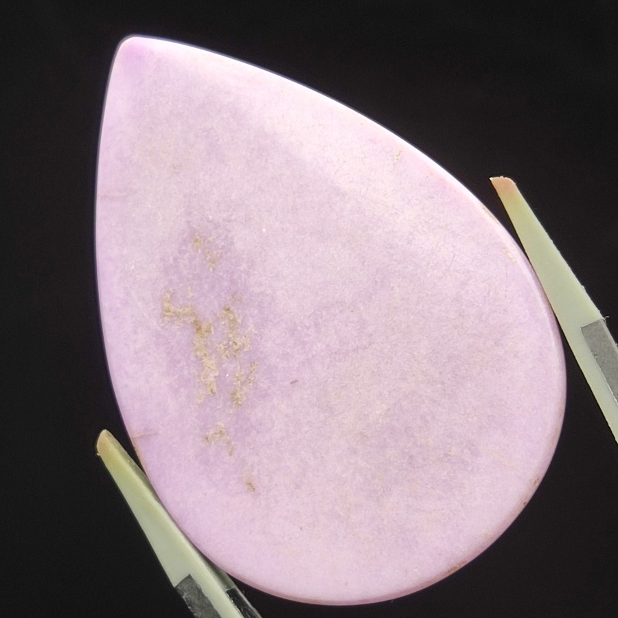 եեǥ饤ȥ롼33.5ct1ʪ