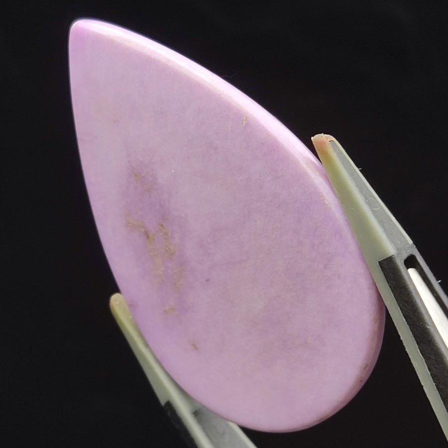 եեǥ饤ȥ롼33.5ct1ʪ