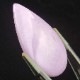 եեǥ饤ȥ롼33.5ct1ʪ
