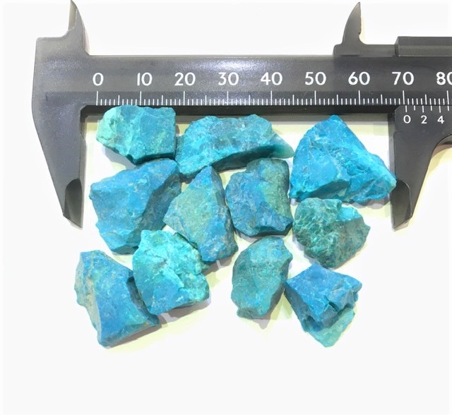 �����ò����ۥ��꥽���顡���С�1γ���