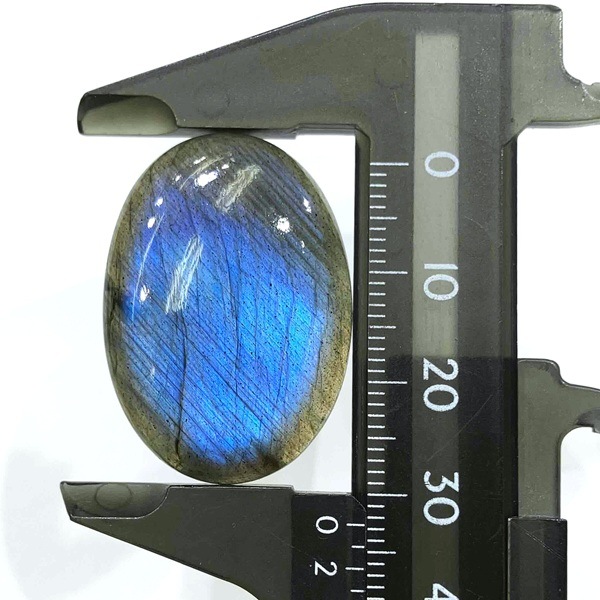 �֥롼��֥�ɥ饤�ȡ����ܥ����롼���������Х롡9.1g