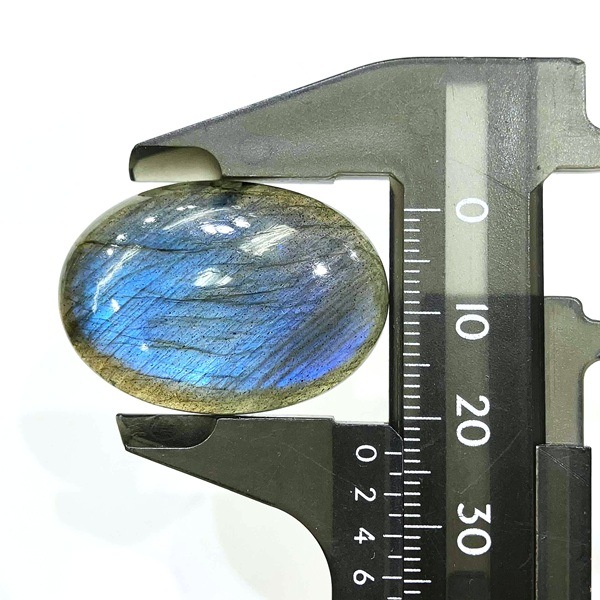 �֥롼��֥�ɥ饤�ȡ����ܥ����롼���������Х롡9.1g