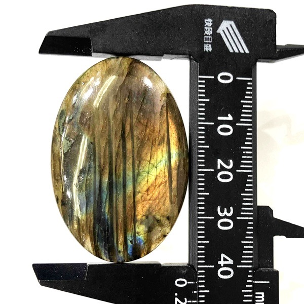 ���礭��ۥ�֥�ɥ饤�ȡ����ܥ����롼���������Х롡13.8g