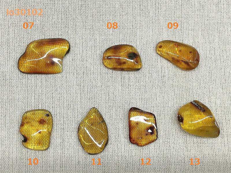 ����С�07-13�����ᡡ�ᥭ���������������쥯�ȥ롼����