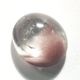 ������।�󥯥����ġ����ܥ����롼����4.8ct��1��ʪ