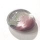 ������।�󥯥����ġ����ܥ����롼����4.8ct��1��ʪ