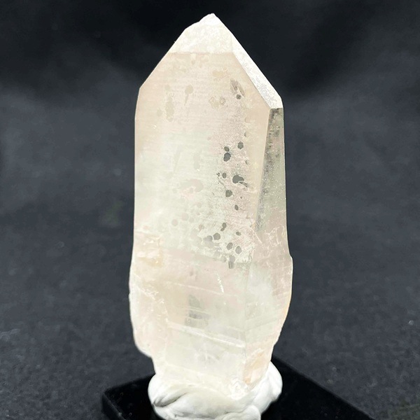 ���ꥢ�󥷡��ɿ徽���֥饸�뻺���С������ɡ�No.39