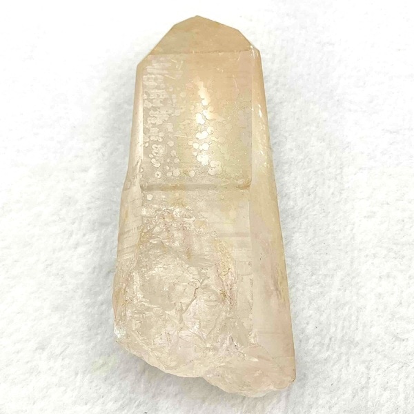 ���ꥢ�󥷡��ɿ徽���֥饸�뻺���С������ɡ�No.39