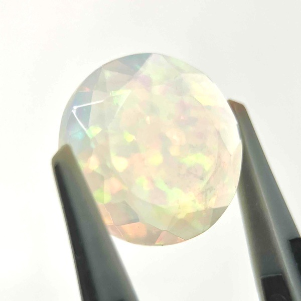 �ץ쥷�㥹���ѡ��롡���åȥ롼�����饦��ɡ���13.5mm��1��ʪ