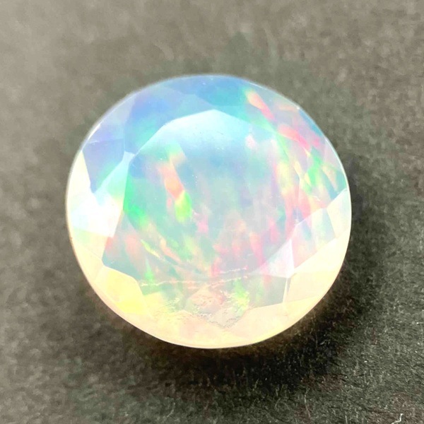 �ץ쥷�㥹���ѡ��롡���åȥ롼�����饦��ɡ���13.5mm��1��ʪ