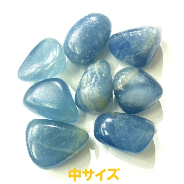 �ڻĤ�鷺�����ۥ��ꥢ�󡦥������ƥ��󡦥��륵���ȡ�����֥� g��1����ꡡ������ꥢ�ͤˤĤʤ����С�