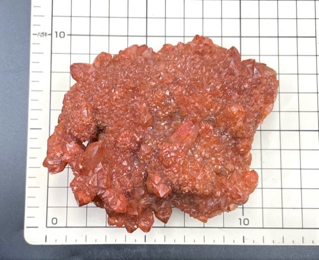 ��åɥ��ԥ�åȥ������ġ����С�383g������å���