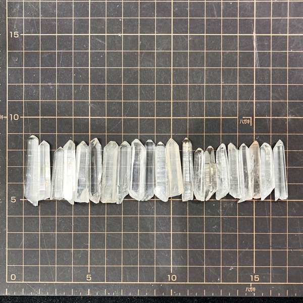 �����ò����ۥ֥饸�뻺���ꥢ�󥷡��ɡ�1�����