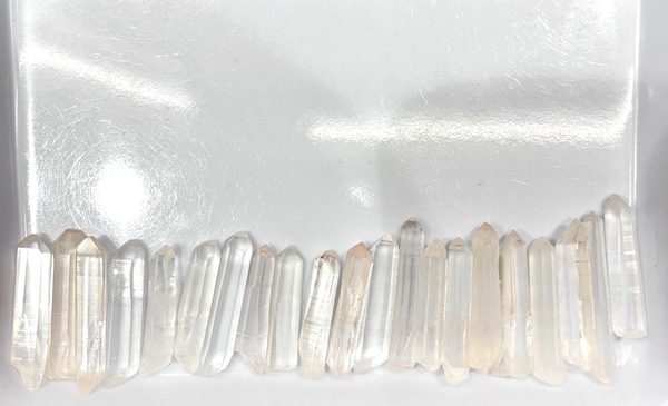 �����ò����ۥ֥饸�뻺���ꥢ�󥷡��ɡ�1�����