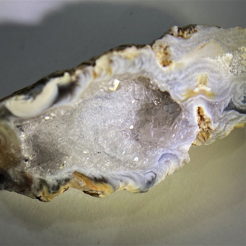 ����͵��ʤΤǺ��ɲá��ۥ������ȡ��ߥ˥������ɡ��ߥå�����1����ꡡ�ȥ쥸�㡼��Υ�